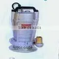 Power Machinery--Pump Series--Submergible Pump (2382) thumbnail-1