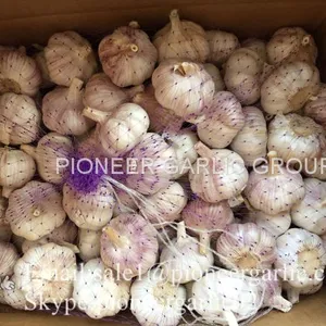 4.5cm 5cm 5.5cm Normal White Garlic Small Packing 1n 10kg Carton Box thumbnail-2