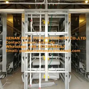 Cameroon Poultry Farm Automatic Pullet Cage & Baby Chicken Cage Used in Chicken Shed thumbnail-1