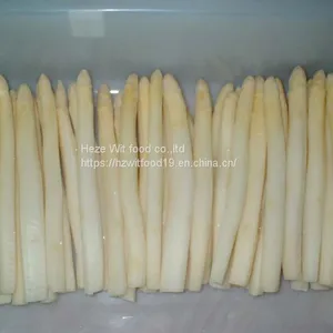 IQF White Asparagus Counts and Center Cuts thumbnail-2