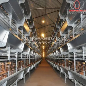 Bolivia Brooding Room - H Type Automatic Chicks Cage & Pullet Cage With Poultry Climate Control System thumbnail-2