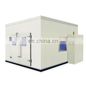 Liyi Humedad Constante Del Termostato Cold Room Chamber Walk in Freezer thumbnail-1