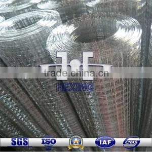 Galvanized Welded Wire Mesh(Direct Manufacturer) thumbnail-1