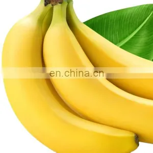 A Nutritious Fresh Banana From Vietnam thumbnail-1