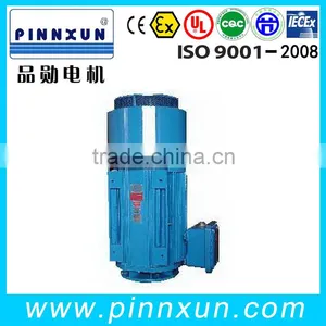 High Quality Motors for Bathtub Whirlpool Pumps thumbnail-1