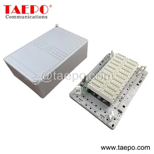 Indoor 100 Pair Telecom dp Box for Krone Module With Good Price thumbnail-1