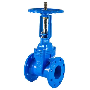 Resilient Seated Gate Valve for Municipal Water Treatment Plants With MTR thumbnail-1
