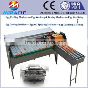 New Design Egg Grading Machine, Automatic Controller Eggs Grader Sorting Machine For Sale thumbnail-1