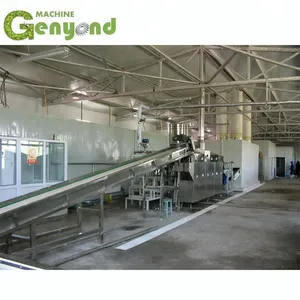 Automatic Frozen Fruit & Vegetable Processing Line thumbnail-1