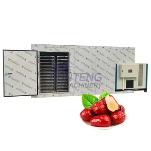 High Performance Cantaloupe Melon Grape Apricot Flavour Drying Equipment Fruit Dried Fruit Drying Machine thumbnail-1