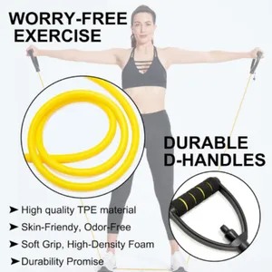 Resistance Band With Handles and Door Anchor, Adjustable Exercise Tube Band for Physical Therapy, Strength Training, Pilates and Home Workouts thumbnail-3