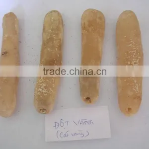 Dried Sea Cucumber ( Black/Yellow Sand Fish ) thumbnail-2