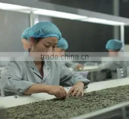 Dalian East Dawn Agricultural Products Imp.& Exp. Co., Ltd. company overview - view 3 thumbnail