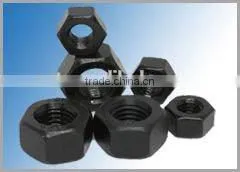 DIN Hex Nuts Fastener With the Standard DIN 934 thumbnail-5