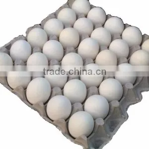 8 Sides 6 Moulds Paper Egg Tray Making Machine thumbnail-4