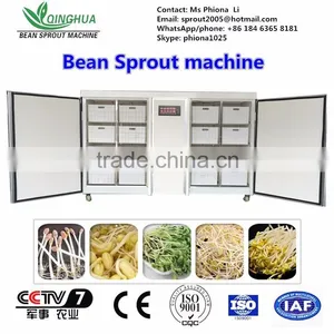 Professional Production of Bean Sprout Machinery Factory thumbnail-1