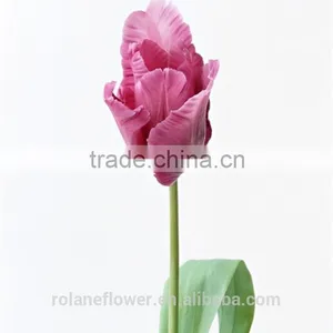 Top Quality Fresh Cut Pueple Tulip Flower for Wholesale thumbnail-3