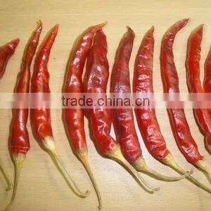 RED DRY CHILLI thumbnail-1