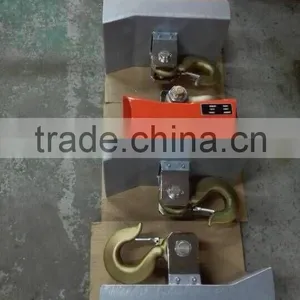 Heat Resistance Crane Scale 10ton thumbnail-1