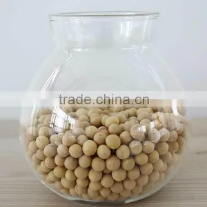 Wholesale 500ml Heat Resistant Handmade Glass Jars With Wood Lid 6303 thumbnail-4