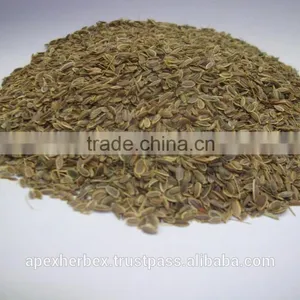 Dill Seed / Anthem Graveolens / Suwa thumbnail-5