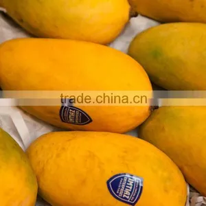 Fresh Fresh Mangoes thumbnail-1