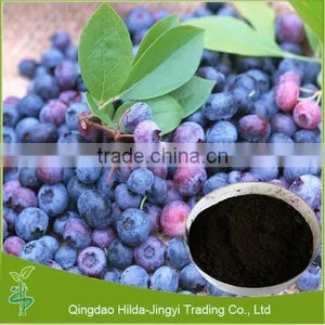 Pure Natural Dried Blueberry Powder thumbnail-1