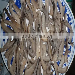 Export Boiled Mushroom Canned Oyster Mushroom Pleurotus Ostreatus thumbnail-2
