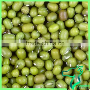 Green Mung Bean For Size 3.6Mm And 3.8Mm thumbnail-1