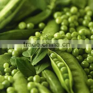 Soybean Peeling Machine /green Bean Peeling Machine thumbnail-4
