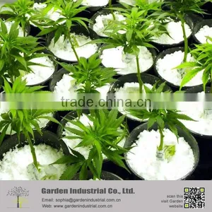 Soil for Planting Herbs thumbnail-1