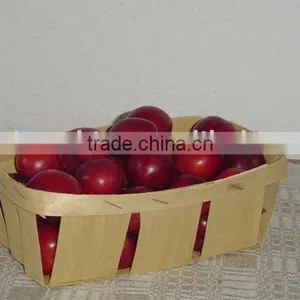 Bamboo Mini Weave Dish thumbnail-1
