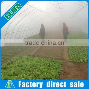 New Design Hot Sale Steel Frame High Tunnel Greenhouse thumbnail-5