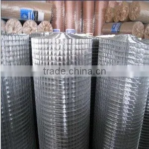 Small Hole Crimped Wire Mesh Roll thumbnail-1