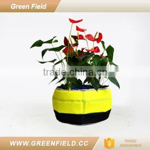 Waterproof Indoor Flower Pot Home Plant Pot thumbnail-2