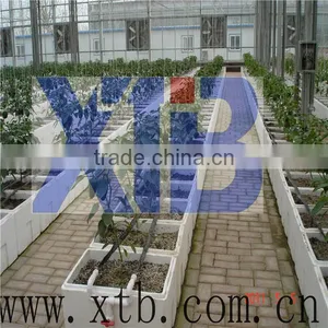 Greenhouse System Integrator Heat Preservation Hydroponic Greenhouse thumbnail-1