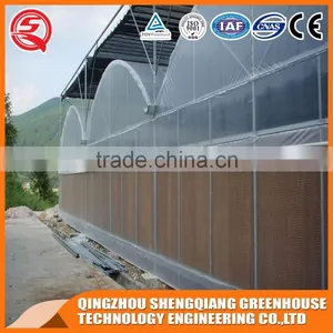China Plastic Tunnel Greenhouse Agriculture Steel Frame for Vegetable thumbnail-4