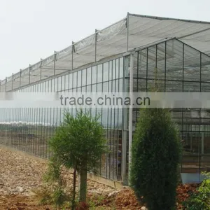 Modern Apperance Hot Dip Galvanized Steel Structure Glass Covering Greenhouse thumbnail-1