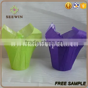 Wholesale Various Colors Bopp Plastic Flower Pot thumbnail-5