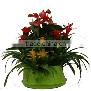 Home Garden Indoor Wedding Ceremony Decoration thumbnail-1