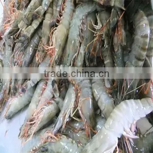 Frozen Bbq Shrimp thumbnail-1