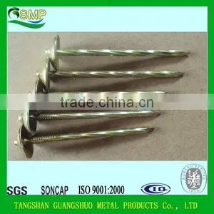 Umbrella Roofing Nails thumbnail-1