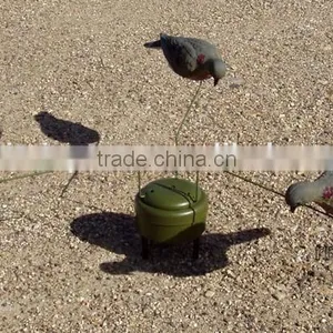 Feeding Mourning Dove Dedoys With Stake thumbnail-6