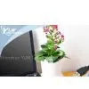 Novelty Usb Gadgets-Usb Flowerpot,powered by USB,planting Memory Recorded by PC thumbnail-1