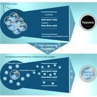 Lying Type Hyperbaric Chamber For Helathcare thumbnail-1