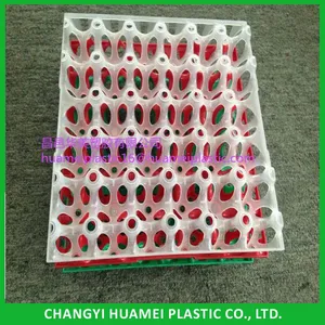 Injection China Whoelsale Intubator Egg Tray thumbnail-5