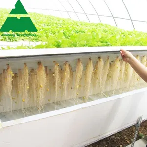 Intelligent PC Sheet Greenhouse With Hydroponic Growing System thumbnail-2