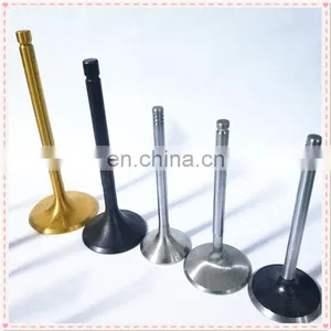 Low Prices Luxury Sedan Parts Intake Exhaust Engine Valve For VW Audi Passat S4 S6 S8 a4 b5 v6 B6 a8 d2 thumbnail-6