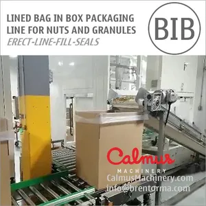 Carton Liner Bag in Box Line for Packaging Nuts and Granules thumbnail-1