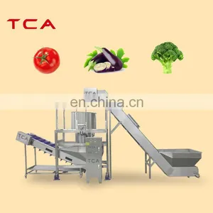 SUS 304 Vegetable Salad Commercial Vegetable Dehydrating Processing Line Good Quality thumbnail-4